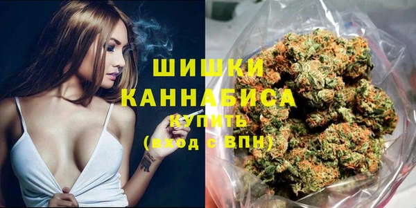 гидра Белокуриха
