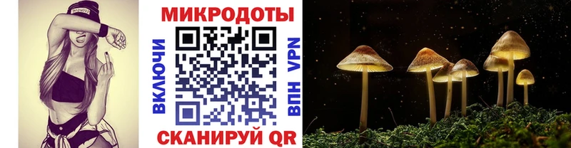 Псилоцибиновые грибы Cubensis  кракен ССЫЛКА  Печора  цена  